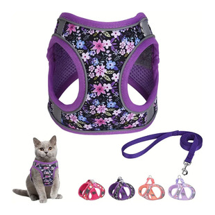 �¿����l�����������Ʒ͸�⹷���ر�����؈��ӡ�����KС����Ȯ