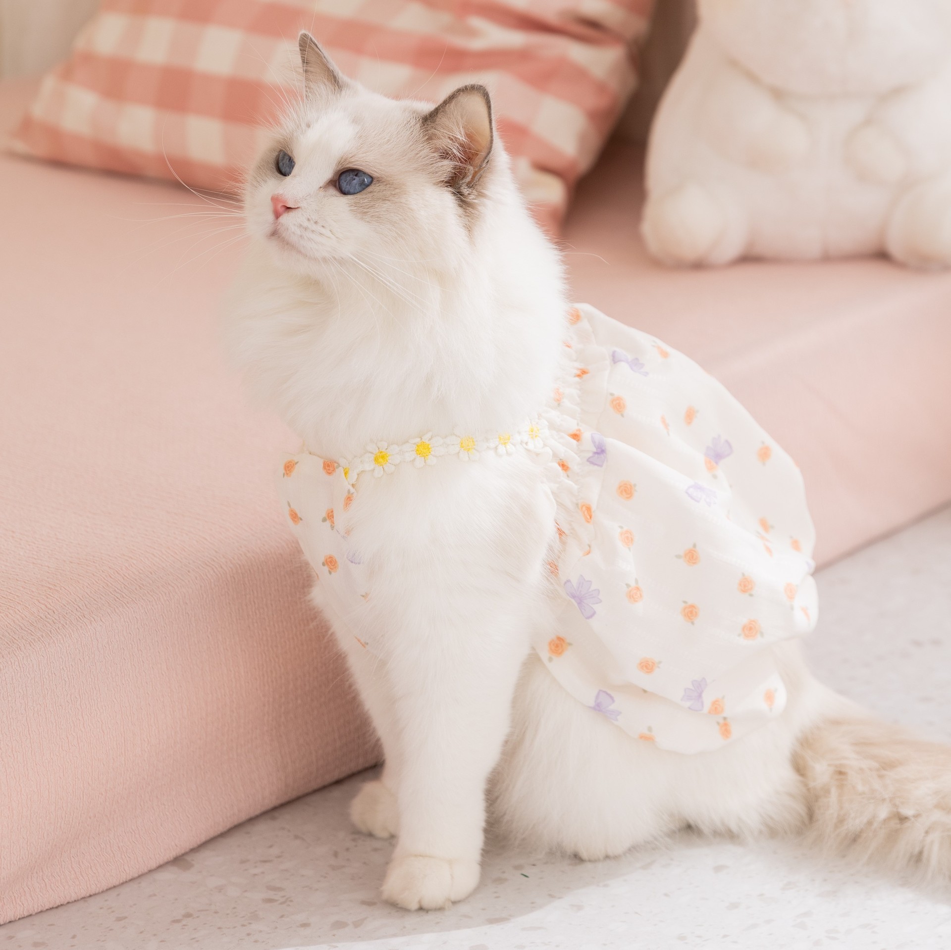 26 años de primavera y verano nuevo gato delgado vestido de princesa vestido de perro pequeño y mediano que panda ropa de perro ropa de mascotas