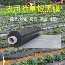 ˫ɫ��Ĥ����ڰ׻����ֹϵر�Ĥ��ģ����ɫ�ǲ�����˫ɫ����̫��