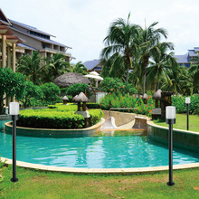 ƺSlXĲزݵ؟FAλ@e^·ƺ