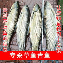 ���~�D����~�C��ˮ�����Ұឺڿ�����~�T�~���������~Сș