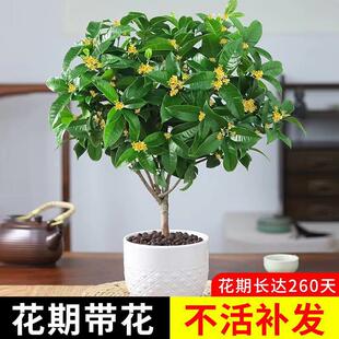 �𻨘������Կ�ʳ�ý���ļ����_�������҃����̨ͥԺ�����ͻ���