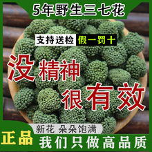 5年野生三七花云南文山特级正品4年纯田七花中药材花茶官网旗舰店