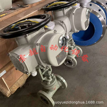 վ늄ӺӽֹyJ961Y-320 DN25 һwʽ hPLC