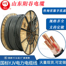 ɽ�|ꖹ���|YJV/YJY10/16/25/ƽ��������|�~о380V��늘����L��