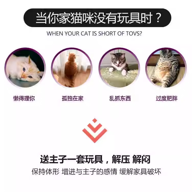 微信图片_20230726153009