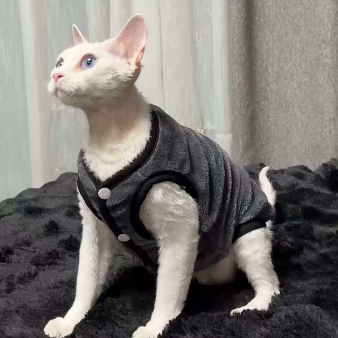 2025年秋冬新款无毛猫衣服德文宠物猫加厚加绒保暖双面绒马甲背心