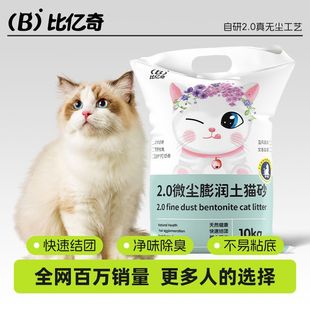 ���������؈ɰ20���ζ10��Y�F����С؈؈ɰһ��ֱ�lֱ�N