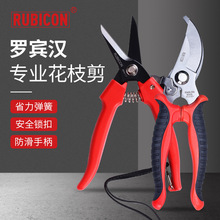 罗宾汉（RUBICON）进口园林修枝剪 树枝剪 果树剪园艺工具