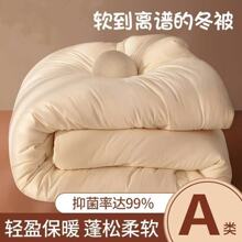 大豆纤维被被芯加厚保暖家用冬天棉被春秋空调单双人宿舍冬天被子