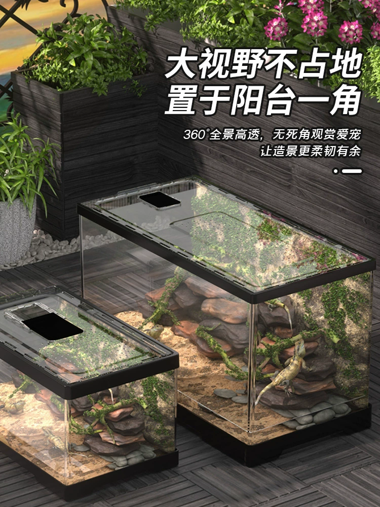 Клетка для насекомых-бабочек для ловли, сбора, разведения пауков, уличных ящиков, гекконов, жуков, разборки бабочек, рептилий, черепах.