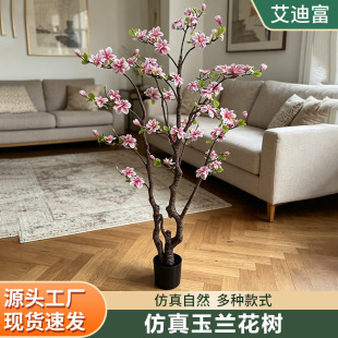 ���m�������Gֲ�٘��҃ȿ͏d������ֲ��������b�ֲ��[���ٻ�