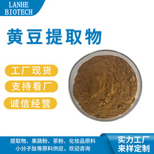 黄豆提取物  黄豆粉 黄豆浸膏粉 黄豆喷干粉  现货供应