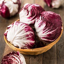 山东红菊苣新鲜红球生菜落地球甘蓝新鲜生吃卷心菜沙拉包菜批发