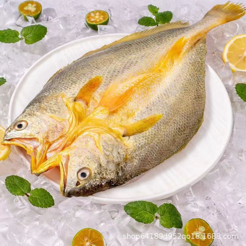 宁德醇香大黄鱼开背黄鱼鲞新鲜深海黄花鱼海鲜批发整条福建宁德
