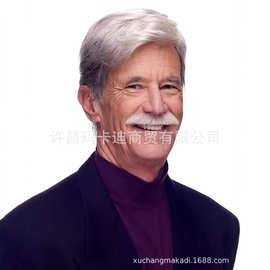 跨境外贸假发男士假发 中老年灰白偏分时尚短发假发 一件代发包邮