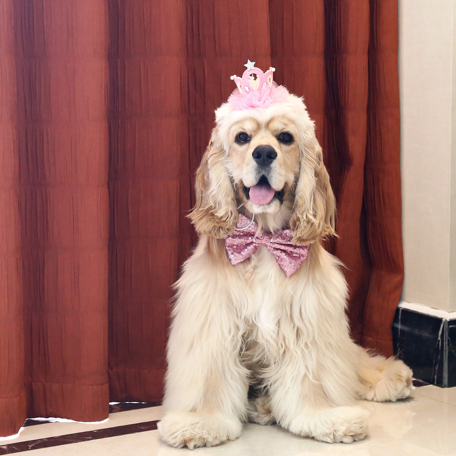 Pet Crown Collar Set Lille Corbata Perla Princesa Fiesta Toads Gatos Perros Polvo de Cumpleaños image 3