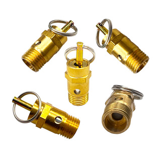 1/4 BSPP�ݼyȫ�~��ȫ�yй���y�����C��ÿՉ��C����ʽ�Ś≺���y