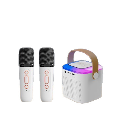 Y1 ワイヤレス Bluetooth カラオケオーディオカラフルなライト適応マルチインターフェイスデュアルマイクエンターテイメントコーラスホーム KTV スピーカー|undefined