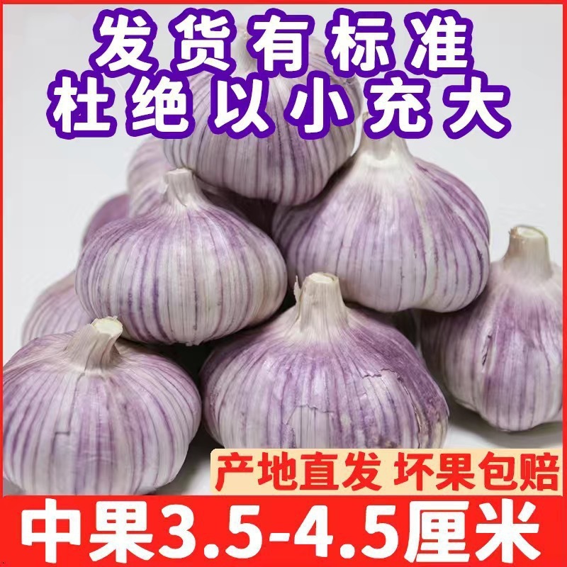 【激安】金祥紫皮ニンニク 新乾燥ニンニク 乾燥ニンニク 大粒生ニンニク 箱入り|undefined