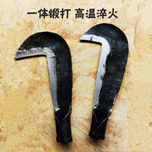 ֹʹиָݵ԰ոϿ񵶱ݵ