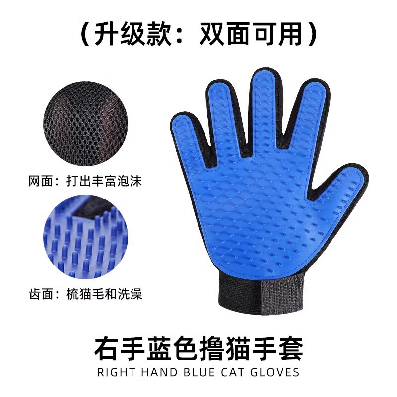 업그레이드된 모델 블루 오른손