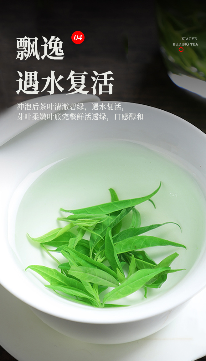 Small Leaf Kuding Tea Premium Tender Bud Bags 30g Canister Daily Wellness Brew preparation