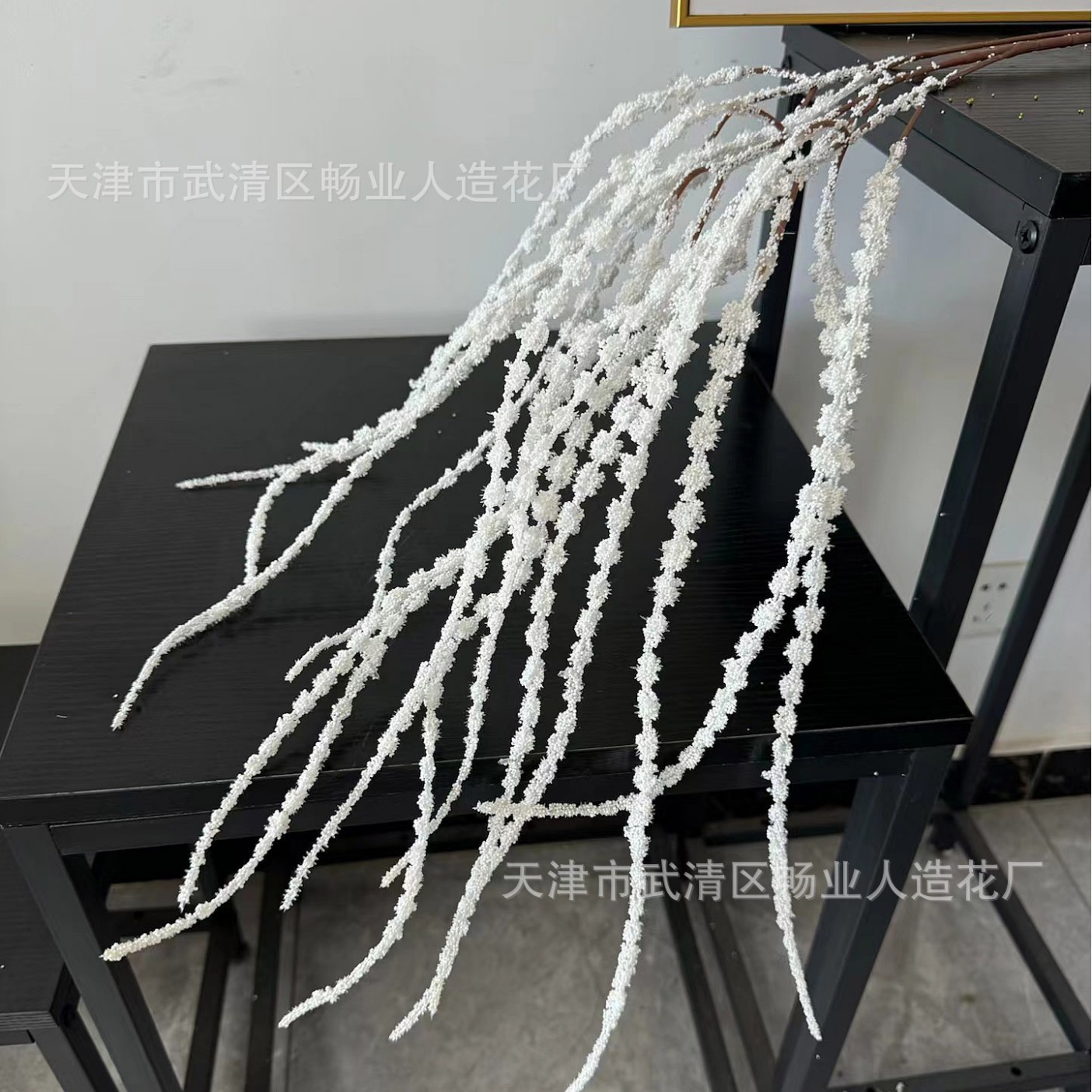 화이트