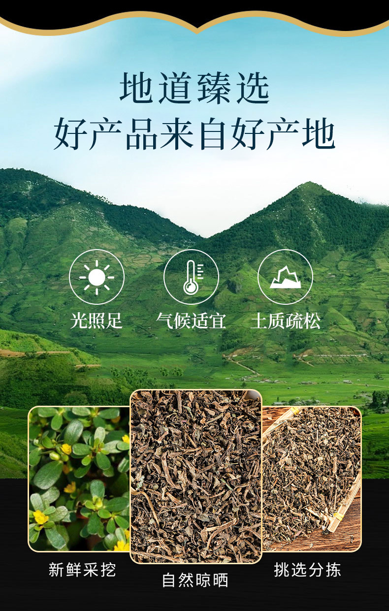 Ma Chi Xian Powder (Portulaca oleracea) — Dried Purslane Herb Powder, 500g overview