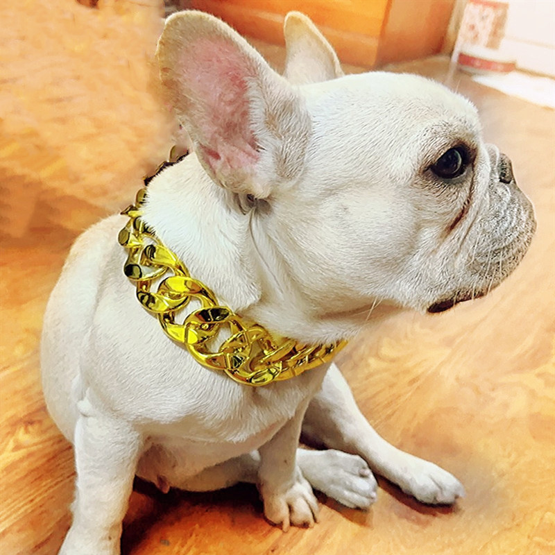 Collar de mascotas de gran tamaño, perros, collares de oro, collares de plástico, matones de pelo dorado, peleas de labrador