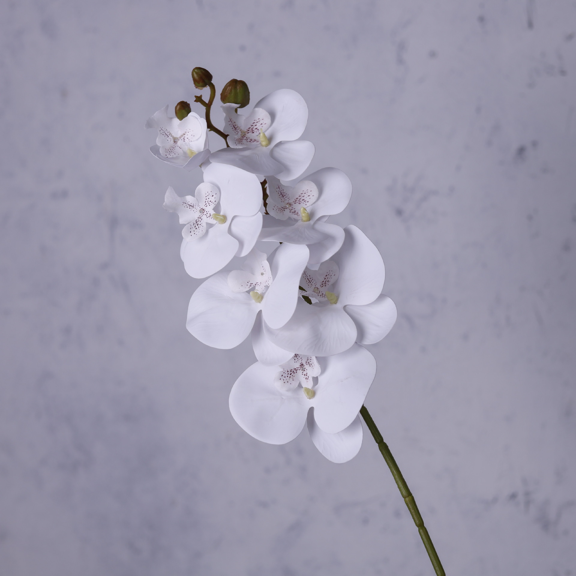 Impresión 3D de 7 cabezas de orquídeas mariposa flor de decoración de flores de alto nivel flor de nicho decoración floral decoración de sala de estar