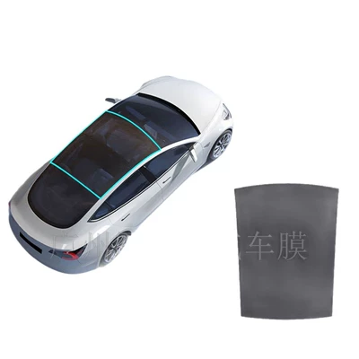 2025 Model Y-Juniper | Tesla Car paint protective film