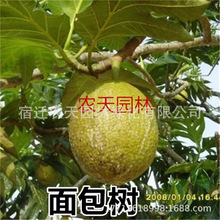 ��������� �������N�Ә��� ⩪sľ��������_�ۘ��R���������