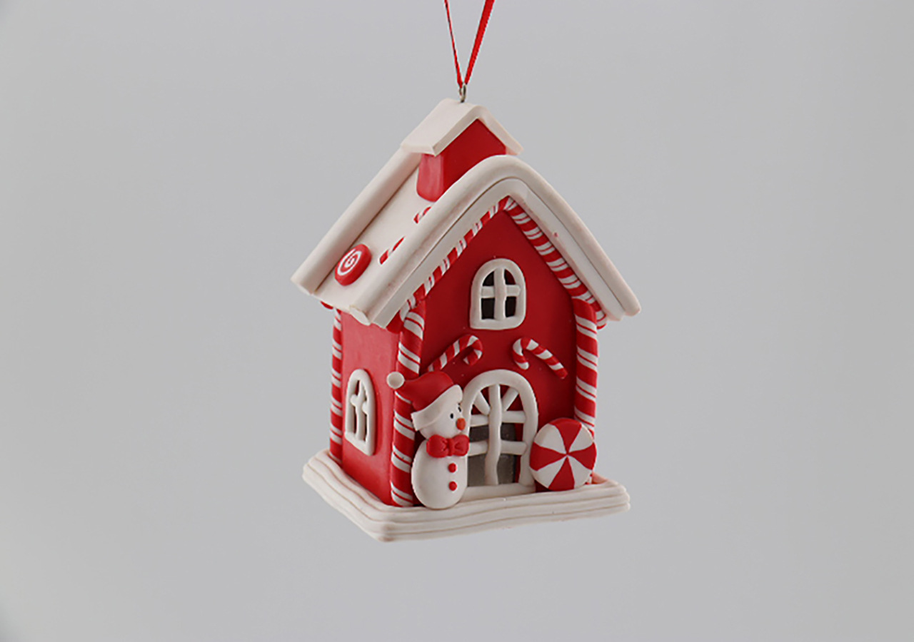 ZT100061 C (1) 拷贝