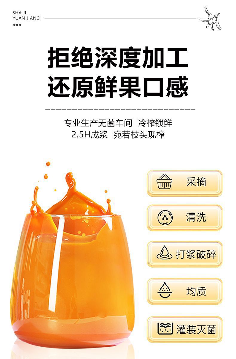 Sea Buckthorn Pure Juice Sha Ji 100% Concentrated Fruit Pulp 15ml Sachets Daily Wellness Drink specifications