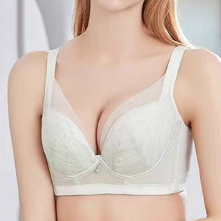 ��Ʒ�{���̓������w�������a�۔n�ո���C�����´���������