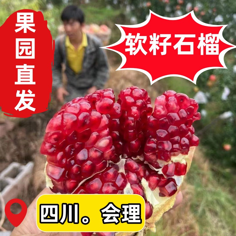 会理石榴软籽石榴四川会理突尼斯软籽石榴纯甜爆汁新鲜水果整箱