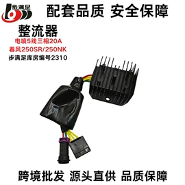 点火线圈;电子调节器;点火器