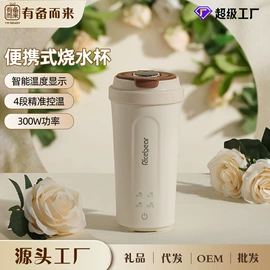 养生壶;电热杯;电火锅