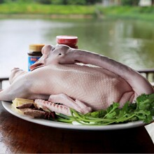 �V�|���ں����Z���Ƥ���Z���r���Z���r���Z��ͨ���Z�F���F�l؛