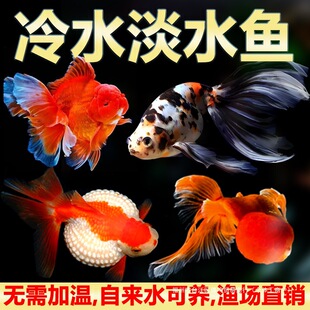 С���~�m�ۼt�ݽ��~��ˮ��ˮ���~�\�������^�p�~���]������B�ͻ�