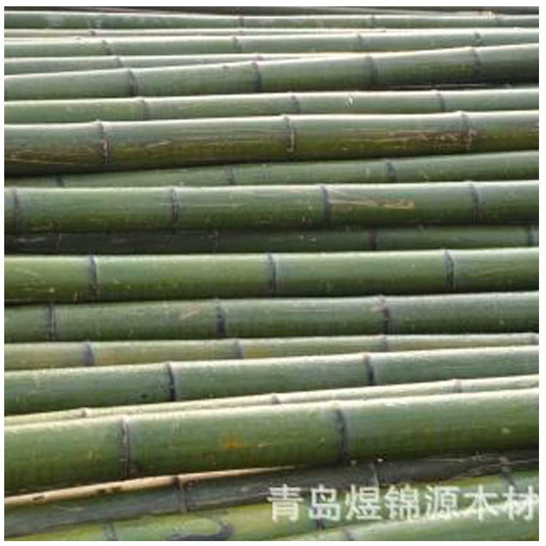 Производитель Qingdao Yujinyuan продает бамбуковые шесты для ландшафтного дизайна, флагштоки из бамбука и высоконапорные защитные бамбуковые шесты.