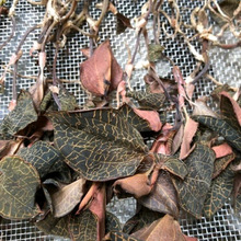 ��ɏ��əC С���Ƅ�ʽ��ș�ĺ�ɷ� �՚��ܟ�ó������C�O��