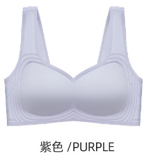 Ventas directas de fábrica comercio electrónico transfronterizo Sudeste de Asia Vietnam Tailandia damas delgadas y cómodas sujetador de colección lateral alto