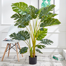 1.4���������~����ֲ���bҾ��҃�1.4�������Gɫ��ؼ٘�羳