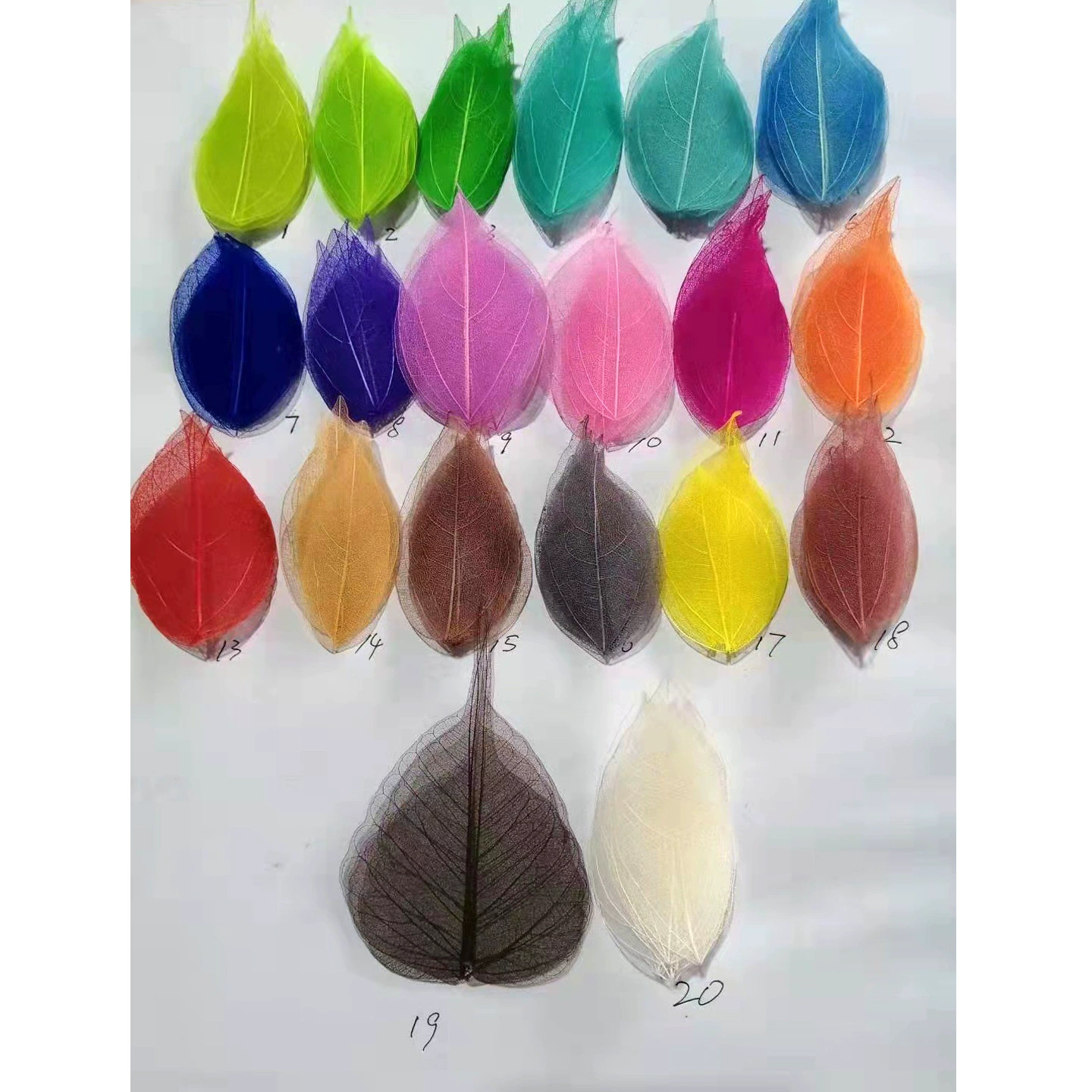 Красочный белый бриллиант вен DIY бессмертный цветок подарочная коробка Цветочная сетка листья магнолии листья сушеный цветок образец растения