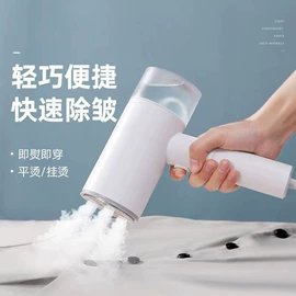 挂烫机;蒸汽刷