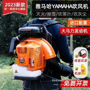 Engine Snow Blower High Power Gasoline Hair Dryer Backload Wind Fire Extinguisher Leaves Cleaning Wholesale