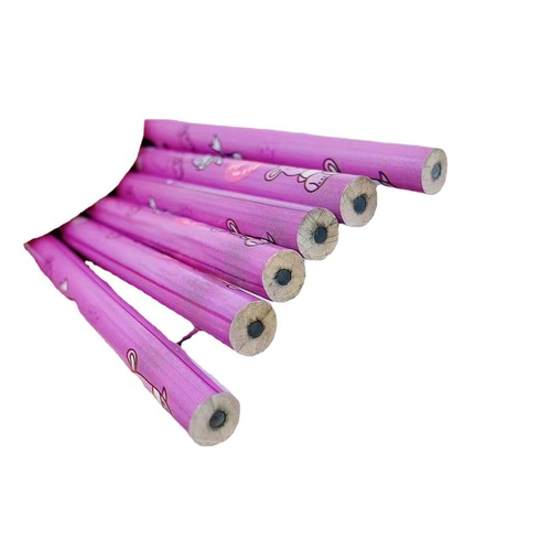 Cute pet cute cartoon monochrome wooden pencil Sanrio Kuromi Pudding Dog HB writing pencil 12 pieces wholesale