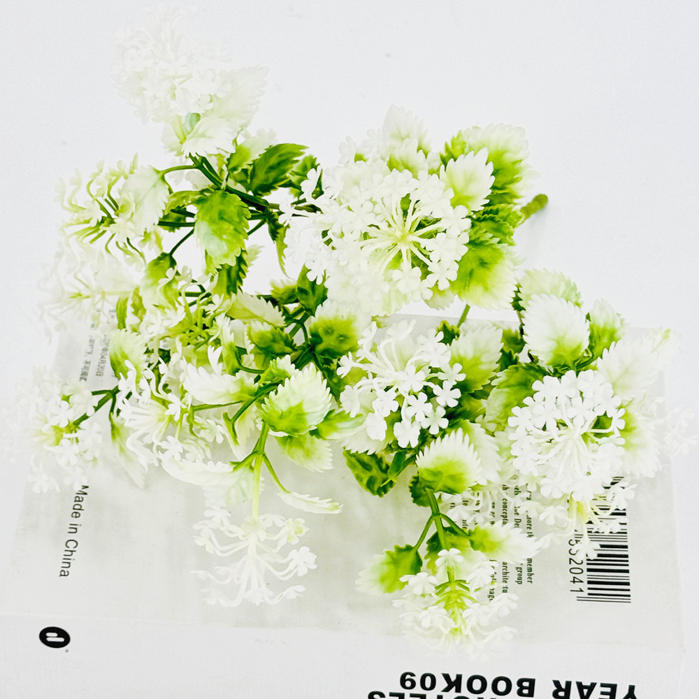 6 hortensia blanca